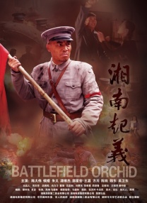 色操网