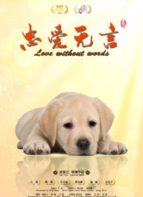 国产午夜精品久久久久婷婷